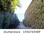 Path to the beach jamaica