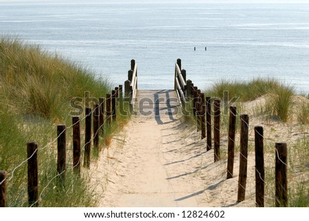 Similar – Image, Stock Photo dune grass Dike dike grass