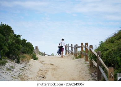 The path to the beach on a August day.