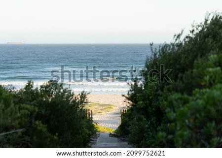 Path to Beach, Sandy Pathway Track Down to ocean beach, Shore of beach, trees on track to beach Australia. Australian Ocean Track, Waves.