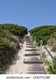 A path to the beach through the blooming sand dunes - Shutterstock ID 1450751288