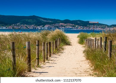 path to the beach through a path through the dunes