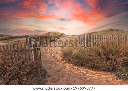 Path to the beach through the dunes surrounded by a wood fence at the sunset