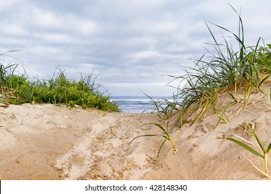 Path To The Beach Through Sand Dunes And Sea Grass. Close Up Detail Shot With Ocean In The Background. Ground Level Perspective