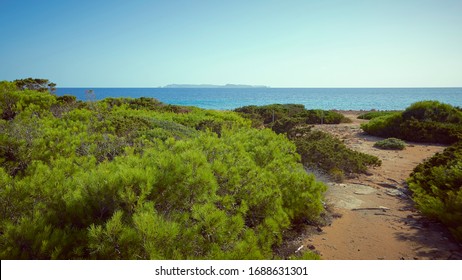 Path to the beach. The way is surrounded of bushes. There is an island in the foreground. It is summer in Mallorca, Spain. 