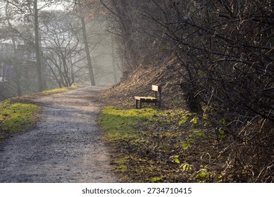A path with a bench in the middle of it