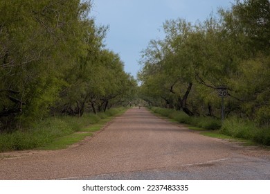 Path at Bentsen Rio Grande Valley State Park in South Texas. - Shutterstock ID 2237483335