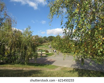 The path between the birches in the park