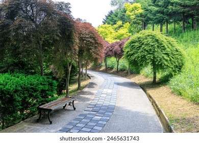 A path between green trees announcing the news of spring
