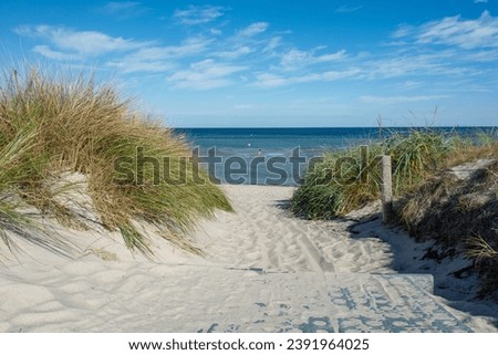 Path between the sand dunes overlooking the sea  with blue sky