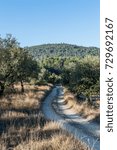 Path between trees 8