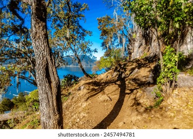 Path between trees on a mountain with a lake in the background in the valley of Bravo state of Mexico