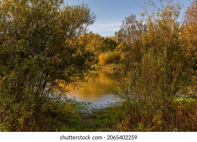 A path between two small trees leads to a lake. The autumnal trees on the far bank are reflected in the water and a blue sky is above.
