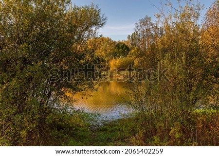 A path between two small trees leads to a lake. The autumnal trees on the far bank are reflected in the water and a blue sky is above.