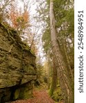 The path between Wendelsheim (Tubingen) and Fairy Tale Lake (Märchensee) lined with tall trees in magnificent autumn colours along the impressive sandstone blocks of the dried-up quarry