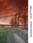 path bordered by trees in front of lake with dramatic sky