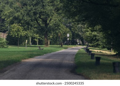 Path bordered by trees in a park by the lakeshore on a cloudy day - Powered by Shutterstock