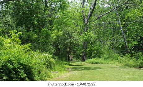 Path By Gunpowder  River In MD