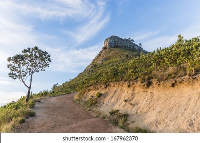 Path Up To Cape Town's, Lions Head Mountain Peak A Very Popular Hiking Destinations For Both Locals And Tourists All Year Round.