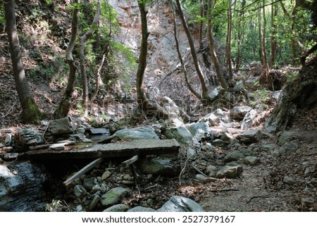 The path of the centaurs (after Cyclone Daniel) Portaria Pelion Greece