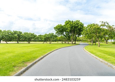 path in city green park with tree and grass fields - Powered by Shutterstock