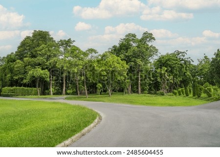 path in city green park with tree and grass fields