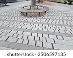  path in the city to the promenade is paved under the roots of the tree with a permeable pavement with joints where it can breathe and soak under the surface when it rains, airy