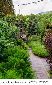 A Path In The Country House's Garden. Landscape Design Of The Yard. Care Of Garden Plants.