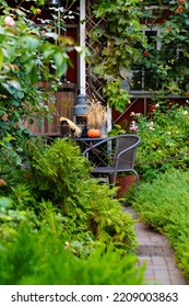 A Path In The Country House's Garden. Landscape Design Of The Yard. Care Of Garden Plants.