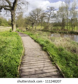 path in countryside