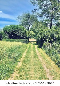 A path in the countryside
