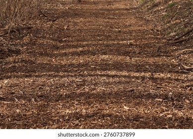 The path is covered with mulch, selective focus. Background. Wood chip mulch is used in landscape design to cover the soil. A mixture of chopped wood, bark and small branches of brown color