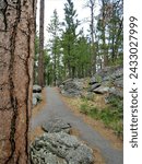 Path at Devils Tower in Wyoming