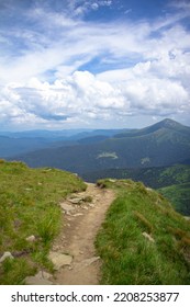 The Path Down The Mountain