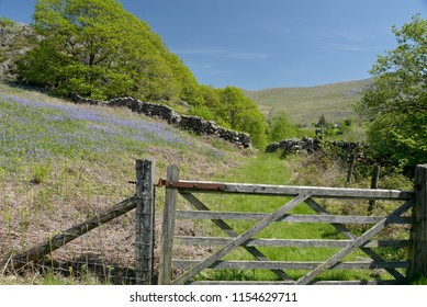 Path In Duddon Valley, Lake District