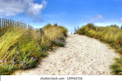 path in the dunes going to the seaside