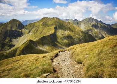 Path In Fagaras Mountains, Romania