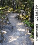 path to the falls