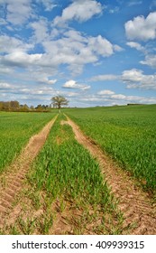 A Path In A Field