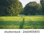 a path in a field between trees. Summer rural landscape