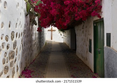 Path with flowers and cross in the background in San Francisco, Telde, Gran Canaria, Canary Islands                               