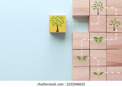 Path following tree growth phases from seedling plant, growth, success; problem solving concept - Shutterstock ID 2233348625