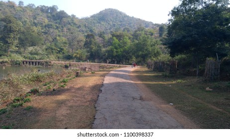 Path to Forest
