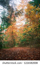 Stock Photo and Image Portfolio by Fred Gartner Shutterstock