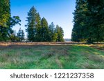 Path in forest at Johns Creek, Washington State, USA