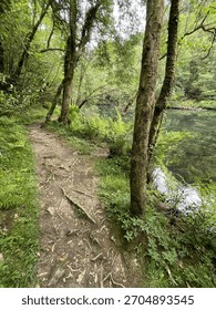 path in the forest And river