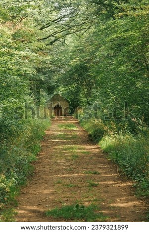 A path in the forest. A road in the woods leading to a chapel. Church in a forest. A place of spirituality in the woods. At the end of the road, a church. Religion and nature