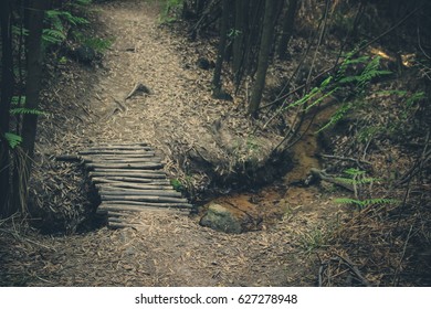 Path in the forest with a small bridge over a brook