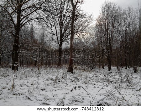 Similar – Windig heute Umwelt Natur