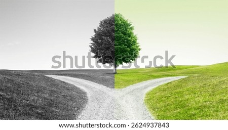 Path fork on a path with a tree